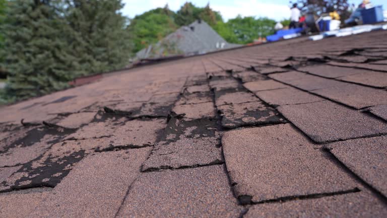 Steel Roofing in Redby, MN